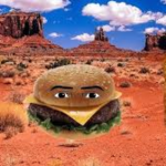 PickleBoi SQUAD