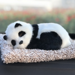 Lazyyy PANDAS