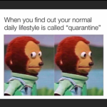 MEME NADE
