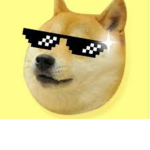 Doge Party :)