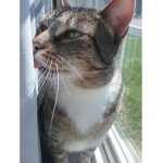 ts9000