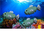 Fish Coral reef