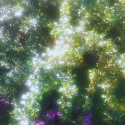 -˚｡ 🌼 ˚｡ -