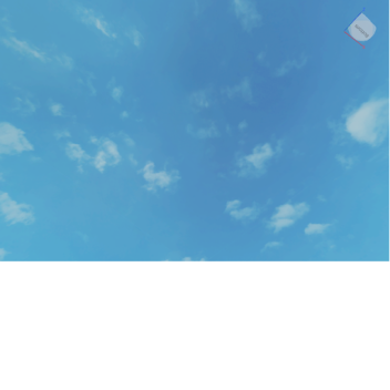 natural diasater survail