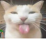 fsdiofhdiozxhvjdshiovbeioioeioegiocgesiocgdfbcdscl