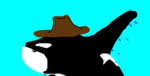Orcas Development