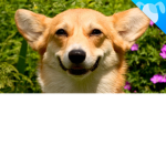 Salute for doggos