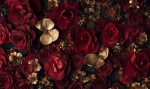 سيده عنوبه:-:؟