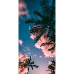 C H I L L