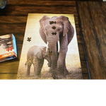 Elephants Josie0842