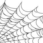Spider's silk