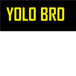 The YOLO Supporters