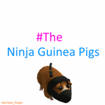 #The Ninja Guinea Pigs!