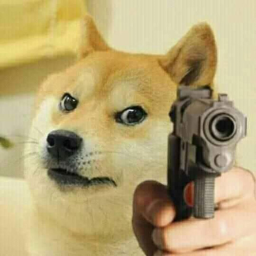 Survive doge killer