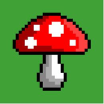 The little mushroom's
