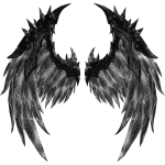 Black and White Angel Wings