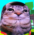The mr melon gang