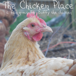 The Chicken Place