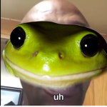 Julia is a frog