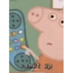 p e p p a pig fans
