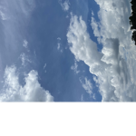 Halisye0193