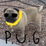 Muggy puggs fans