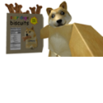 Doge home 2