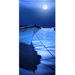 Shining Moonlight