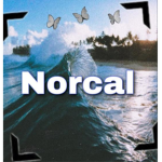 Norcal