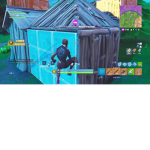 fortnite pro only