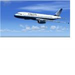 Flight®