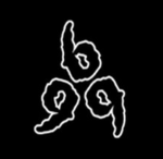 x2c_apparel
