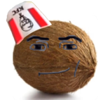 Coconut Team Studios