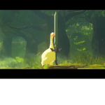 botw nation