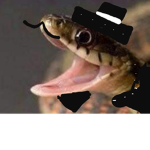 Operation Noodle