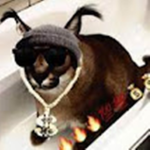 The Official DrippyFlipFlopGaming Gang