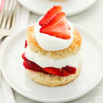 shortcakessss