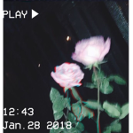 Aestheticbratzz