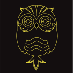 The Night Owl Warriors