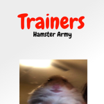 HA| Trainers