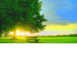 Nature's Hangout
