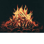 The Forgotten Campfire