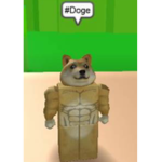 Doge Inc. OFFICIAL