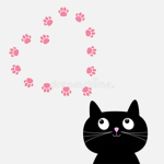 Gatos e gatas da meia noite