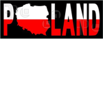 Polish Protector