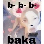 ttoadz