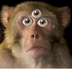 Three Eyed Monkey