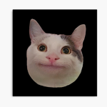 Club_Noob_SM