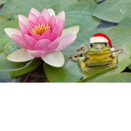 FROG HANGOUT!!!!!Update!