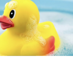 DUCKYSTUDIOS B NEWS